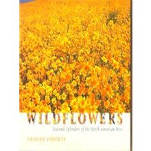 Wildflowers
