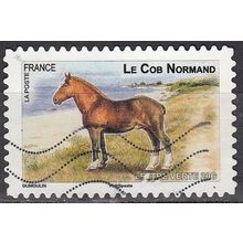 France 2013 Michel 5544 O Cote (2015) 0.60 € Cheval Le Cob Normand