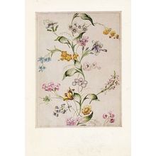 Anna Marie Garthwaite Design For Woven Silk Painting Postcard