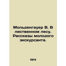Moldenhauer W. In the deciduous forest. Tales of a young hiker. In Russian (ask