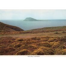 Ynys Enlli Gwynedd Welsh Postcard