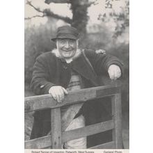 Pemberton Sussex Farmer Famous For Tonic Drink Advertisement Postcard