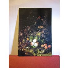 FRUITS, FLOWERS & INSECTS by Rachele Ruysch unused postcard art #