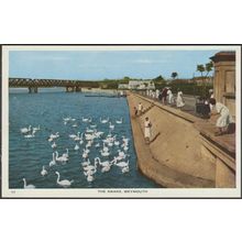 The Swans, Weymouth, Dorset, c.1940s - Postcard