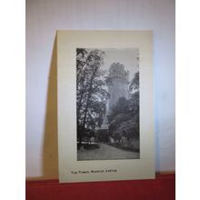 THE TOWER, WARWICK CASTLE. unused antique postcard =