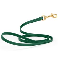 Dog Pet Leash with Brass Hardware W 1/2” L 6 FT Hunter Green