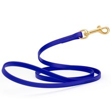 Dog Pet Leash with Brass Hardware W 1/2” L 6 FT Blueberry Royal