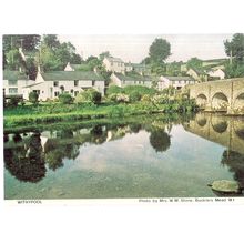 WITHYPOOL. Bucklers Mead W.I. unused vintage postcard Somerset W.I. =