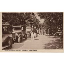 Dakar Hanu Garden Senegal Africa Old Postcard