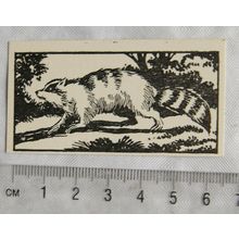 1953 Teddy Bear Lollies Interesting Animals card No. 31 Ragoon