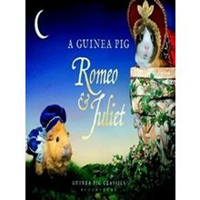 A Guinea Pig Romeo & Juliet