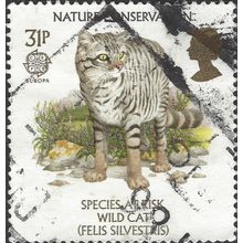 GB, CAT, Wildcat, Felis sylvestris, green 1986, 31p