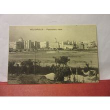 HELIOPOLIS, Egypt unused vintage postcard /