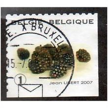 BEL 2007 (52c)(S/A) 'FRUIT- BLACKBERRIES' FINE USED (EBID10439)