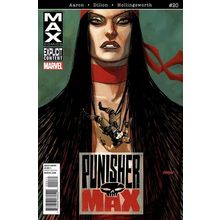 Punisher Max (Vol 2) # 020 NM MODERN AGE COMICS