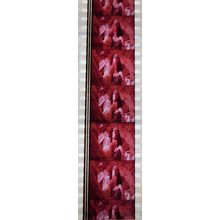 Pulp Fiction. Pk VXM - C054b. 1 STRIP OF 5 - 35MM FILM CELLS PK VXM