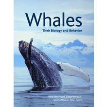 Whales Their Biology And Behavior