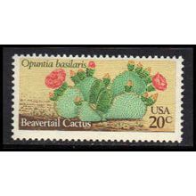 1944 20c Beavertail Cactus Fine MNH MA0878