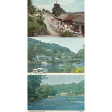 Symonds Yat Kodak Camera Film Shop Rapids 1970s Gloucester Postcard