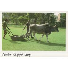 London Budget Cuts Cow Park Lawnmower Political Comic Postcard