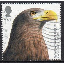 GB 2019 Birds of Prey - White-tailed Eagle 1st Used