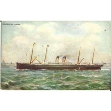 White Star Line SS CELTIC Tuck Oilette Postcard (6228)