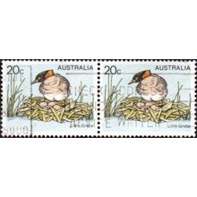 Australia 1978-80 $0.20c Value. Little Grebe . Fine Used Pair