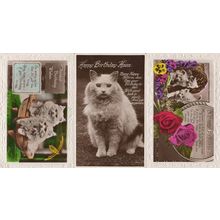 Grey Kittens & Cats 3x Birthday Greetings RPC Old WW2 Postcard s