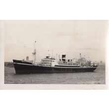 SS Matra III Brocklebank Ship Vintage Rare Photo