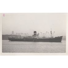 Maskeliya Brocklebank Cargo Ship Vintage Rare Photo