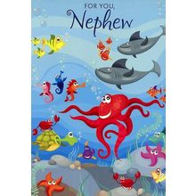 For You Nephew - Juvenile - Nephew Birthday Greeting Card - 01554-1