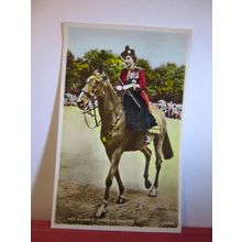 QUEEN ELIZABETH II ON HORSEBACK unused postcard by Lansdowne royalty =