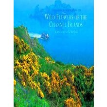 Wild Flowers Of The Channel Islands Little Souvenir