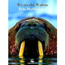 We Are The Walrus