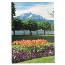 LUCERNE AND MOUNT PILATUS used postcard 1990 postmark =