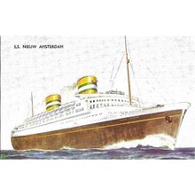 Holland America Line SS NIEUW AMSTERDAM Art Postcard (J. Salmon 5024)