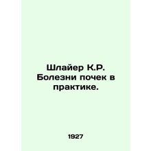 Schleyer KR Kidney Diseases in Practice. In Russian /Shlayer K.R. Bolezni poche