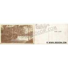 CT Norwalk Postcard Waterfall At Silvermine Tavern ct_box4~2256