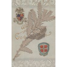 St Johns College Cambridge Antique Card & Cambs Flower