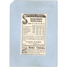 New Jersey Stockton 2 Attatched Newspaper Ads June 3 1922 1-Special Prices~3341