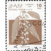 WESTERN SAHARA, FLOWER, Quercus Ilex, brown 1992, 10pta