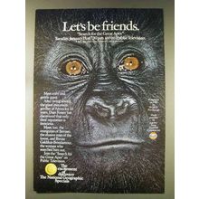 1976 Gulf Oil Search for the Great Apes Ad
