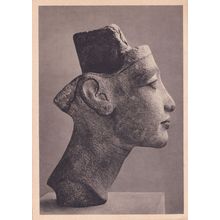 Bust Of Brauner Sandstein Berlin Museum German Postcard