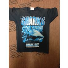 boys size 10 shirt seaworld shark bay sharks