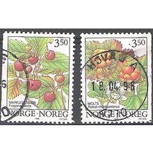 Norge 1996 Michel 1204 - 1205 O Cote (2013) 1.00 Euro Baies de la forêt