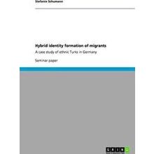 Hybrid identity formation of migrants