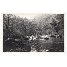 The Esk River Arncliffe Woods Egton Bridge Yorkshire Postcard 7884