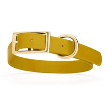 Dog Pet Collar with Brass Hardware Size XL W 1” L 22” - 25" Treasure Gold