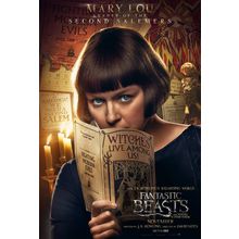 Fantastic Beasts and Where to Find Them (2016)_9 Movie Film Poster Canvas iconic