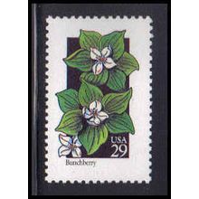 2675 29c Bunchberry Fine MNH V2316 (2)